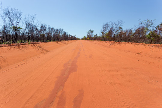 Burnt out vegetation from bushire along the red pindan road from Broome to Cape Levique in the Kimberley