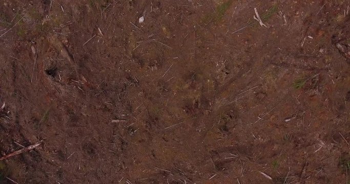 Clearcut and deforestation in the Cascade Mountains