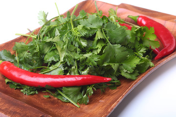 Fresh green cilantro, coriander leaves and chili pepper on wooden board.