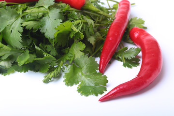 Fresh green cilantro, coriander leaves and chili pepper isolated on white bacground.