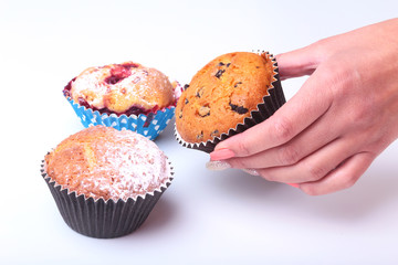 Homemade Blueberry ore chocolate muffins with powdered sugar and fresh berries in woman hand.