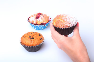 Homemade Blueberry ore chocolate muffins with powdered sugar and fresh berries in woman hand.