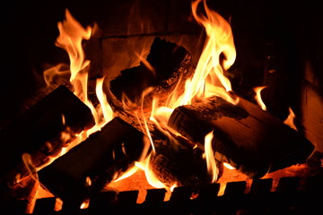 Log fire 2