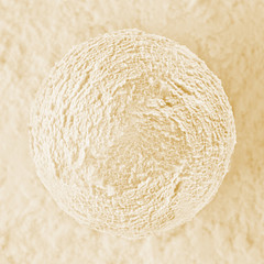 Yellow ice cream ball on creamy color textured background.