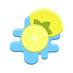 Vector mint and lemon in water