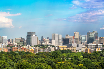 Obraz premium Tokio niebo