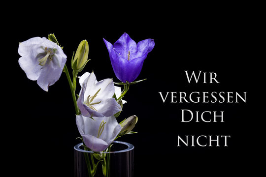 Trauer, Blumen, Verlust