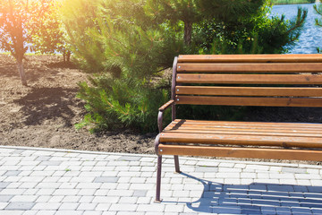 Wooden bench in the city park