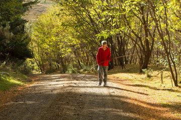 Boy walking in autumn