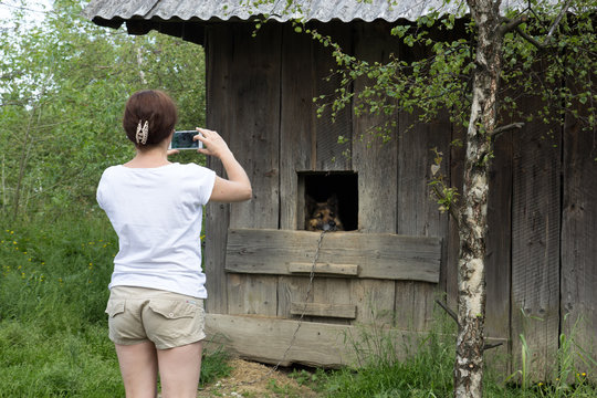 A girl is taking pictures of a dog in a wooden barn