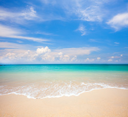 beach and tropical sea