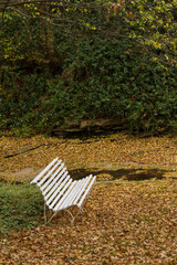 empty bench in park in autumn