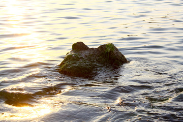 Partially submerged algae and seaweed covered rocky outcropping