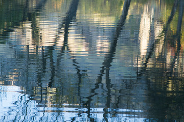 reflective