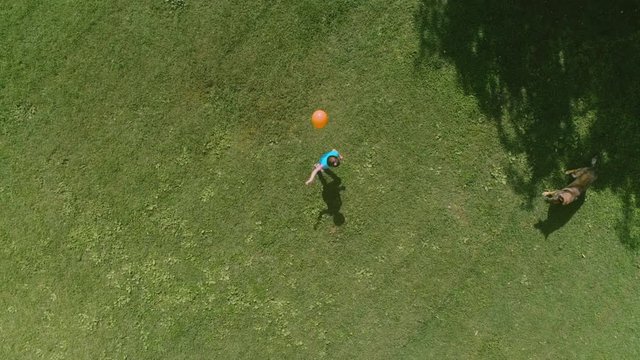 Little girl playing with dog and coloroful baloon at the countryside