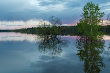 Fototapeta premium Beautiful spring landscape on the river. Sunset time.