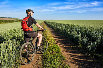 Obraz premium Rear view of the young cyclist riding bicycle on the road of the field.