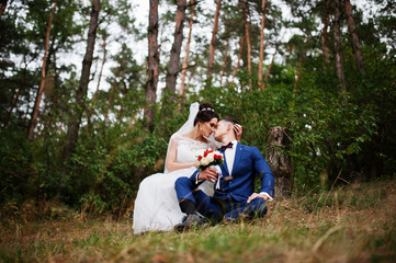 Fabulous wedding couple kissing on the ground in the forest full of pine trees and bushes.