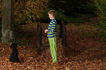 Boy on garden bridge with dog
