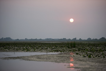 Breathtaking sunset in Danube Delta, Romania, in a summer day