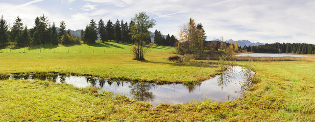 Moor und See in Bayern im Allgäu