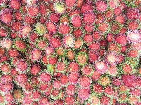 Fresh rambutan sweet delicious fruit of Thailand