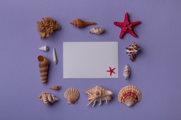 Summer beautiful composition of paper card or coupon mockup surrounded with seashells on purple background. Top view. Flat lay.