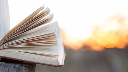 Education and wisdom concept - open book under sunlight