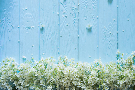 Fototapeta Spring nature background white blossoms on blue pastel wooden planks. Floral concept