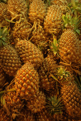Fresh pineapple in the market