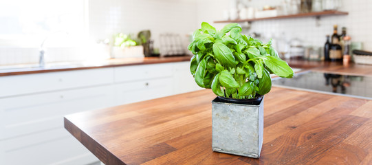 banner with fresh basil on the wooden counter top in a fancy kitchen 