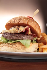 ham burger and potato fries