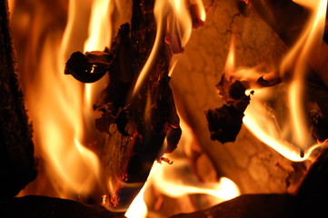 Feuer - brennendes Holz