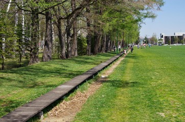 公園の長い木製のベンチ