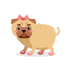 Funny pug dog character in pink bow and shoes vector Illustration