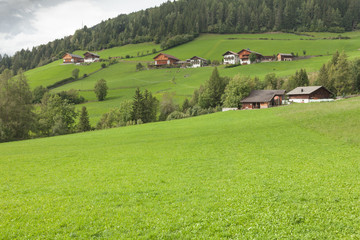 Obraz premium Traditional houses in a cloudy mornig surrounded by green pasture next to the little town of St. Magdalena in Val di Funes, no people around