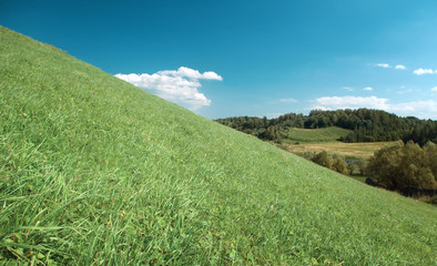 Miraculous year landscape with hill