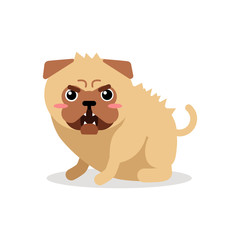 Cute cartoon angry pug dog character vector Illustration