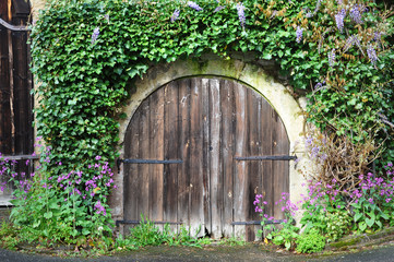 Fototapeta na wymiar Arched wooden gates in the old wall overgrown with green ivy.