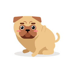 Cute cartoon pug dog character vector Illustration