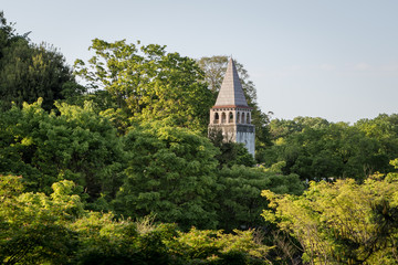 Fototapeta na wymiar 多摩動物公園　森林と塔