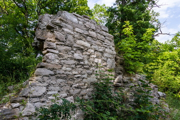 Brurgruine Stecklenburg Harz