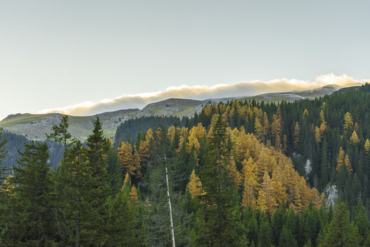 View from Bucegi mountains, Romania, Bucegi National Park