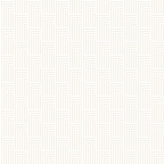 Stylish Lines Maze Lattice. Ethnic Monochrome Texture. Abstract Geometric Background. Vector Seamless Subtle Pattern...