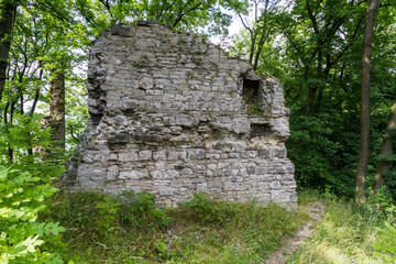 Brurgruine Stecklenburg Harz