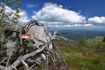 Old rusty trail sign on a rock pointing to nowhere. Bare bones of pine shrubs left after old mountain fire. Slowly reviving nature. Rila Mountain, Bulgaria