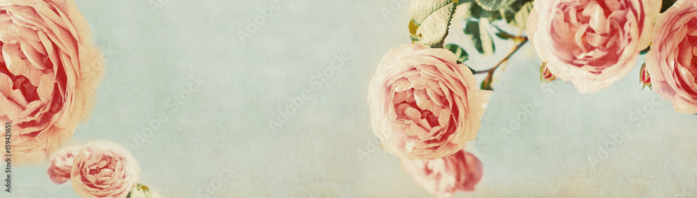 Wall mural banner with vintage roses design - web header template - website design - simple background