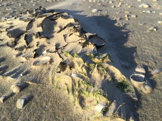 Wattenmeer Ostfriesische Inseln