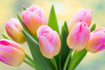 Fototapeta premium Spring flowers. Tulip bouquet on the bokeh background.