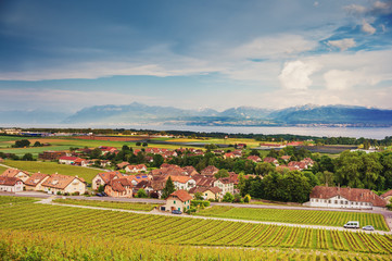 Fototapeta na wymiar Amazing view on Lavaux vineyards, Lake Geneva and french Alpes Haute-Savoie, Switzerland